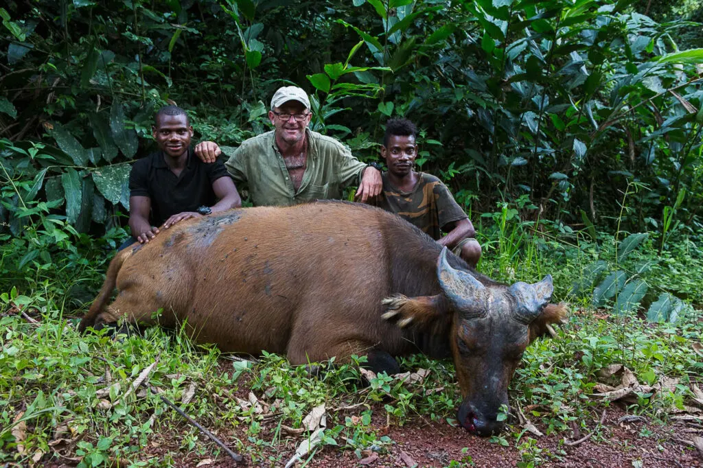 9-day DR Congo safari focus across DR Congo Guided time in Garamba National Park