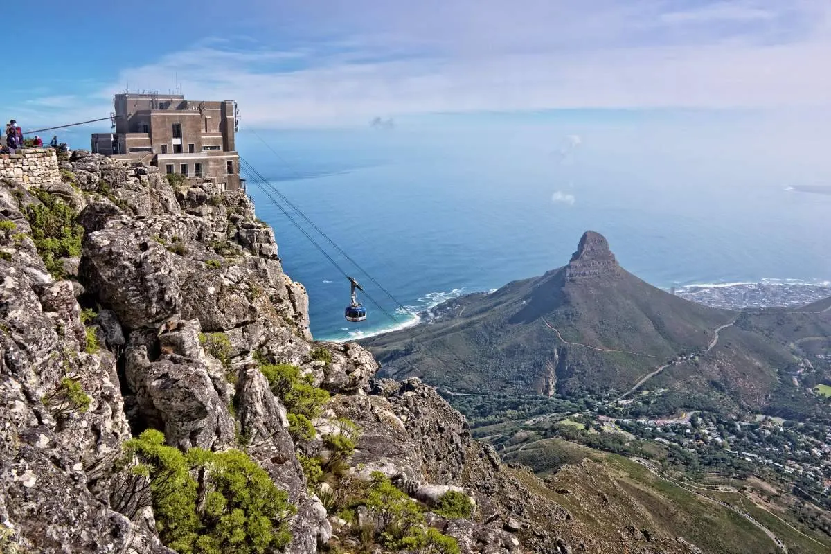 6-day safari Phinda focus across Table Mountain National Park On Safari Tour South Africa