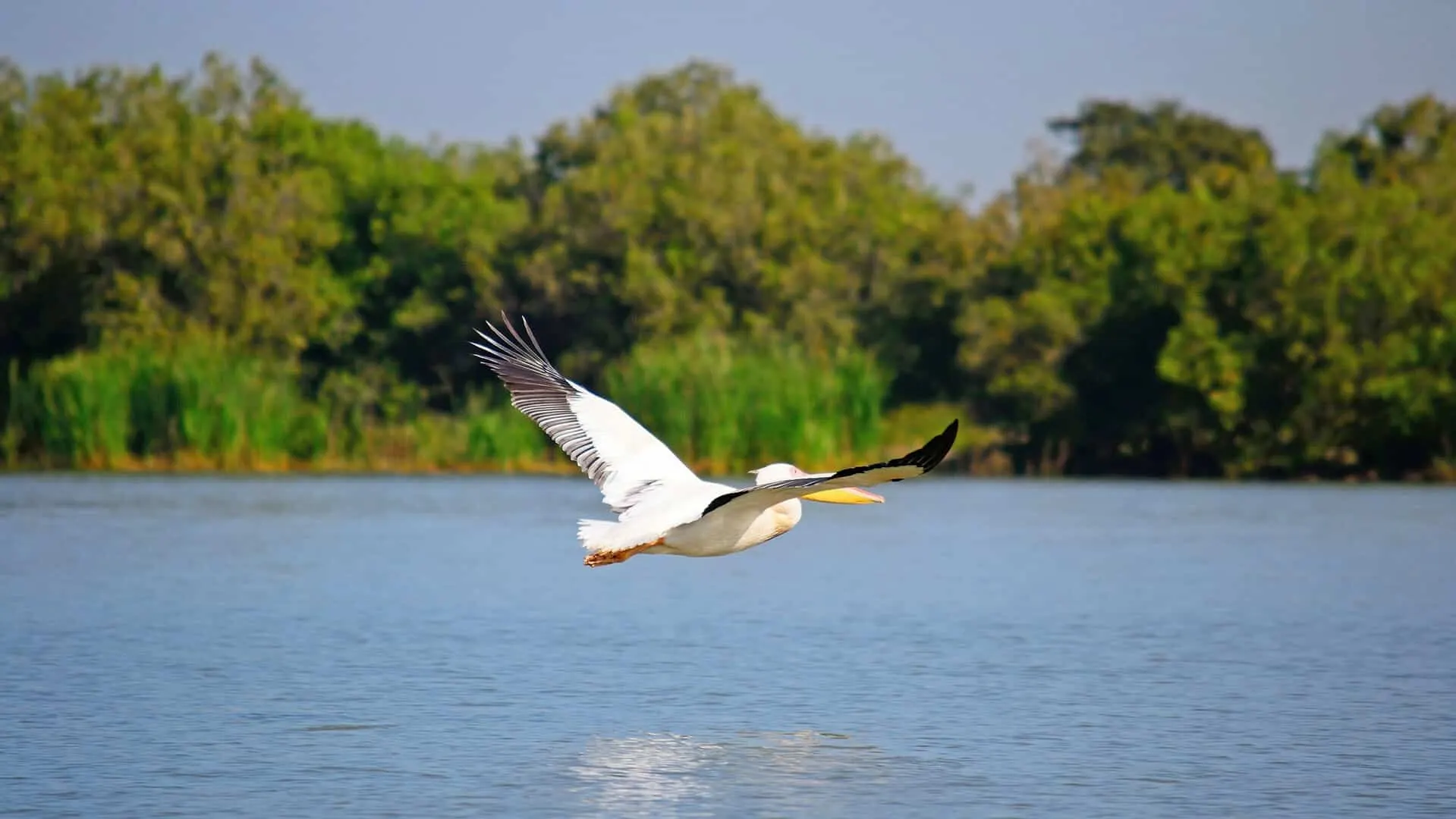 9-day Ethiopia Safaris Lake Tana tours focus across in Danakil Depression