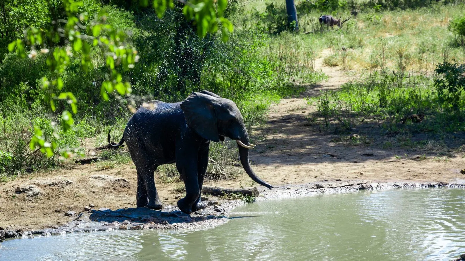 9-day Lilongwe elephant safari focus across in Nyika National Park Tour Safari Malawi