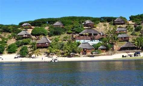 7-day Pemba holidays focus across Mozambique Safari Tour in Quirimbas National Park
