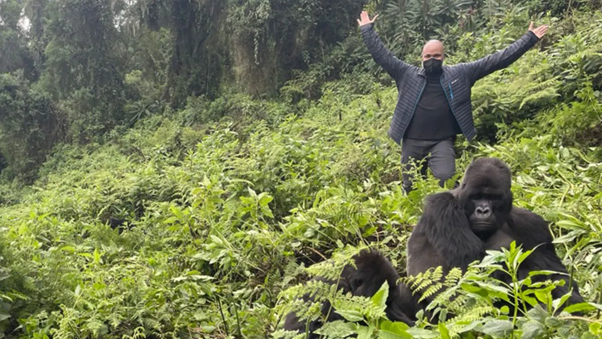 1 Day Family Gorilla Trekking in Volcanoes