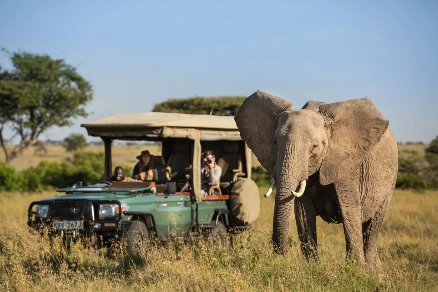 9-day Mozambique Safari Benguerra Island trip focus across Gorongosa National Park
