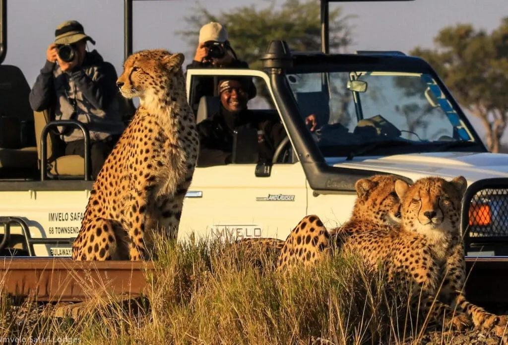 6-day Zimbabwe Lake Kariba holidays Tour safari Zimbabwe  