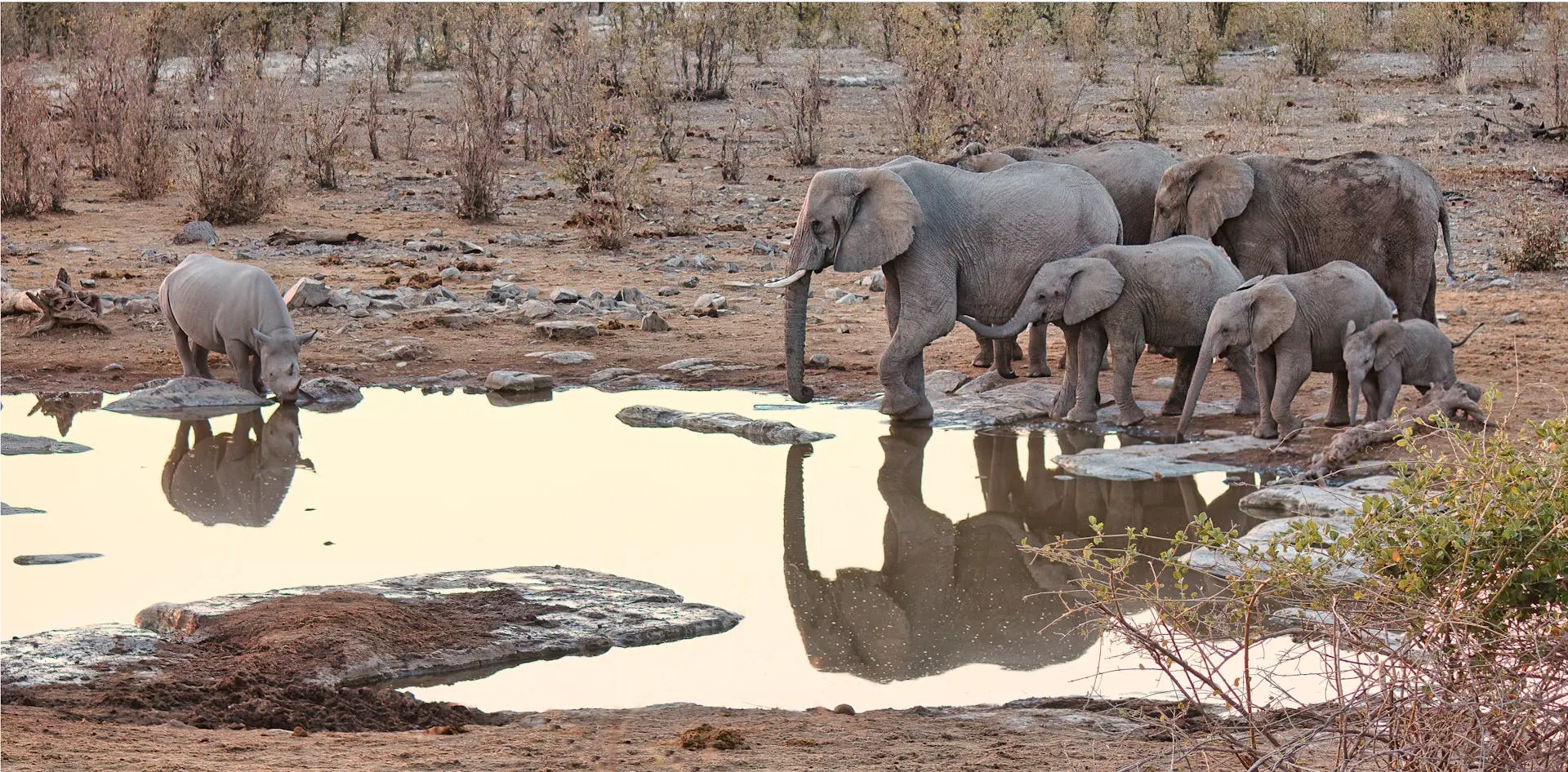 10-day Namib Desert trips focus across Namibia Guided time in Skeleton Coast