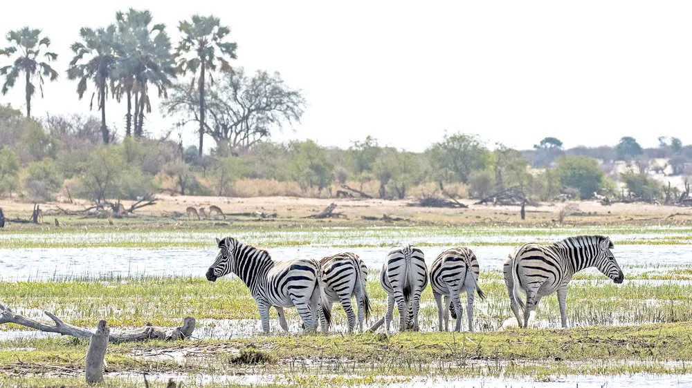 7-day mokoro safari Makgadikgadi Pans On Botswana Safaris in Makgadikgadi Pans