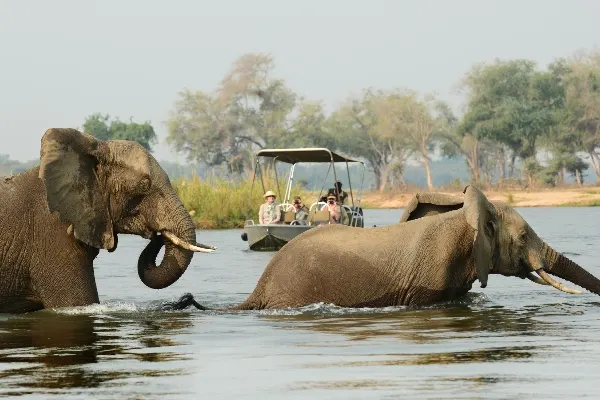 8-day boat safari Victoria Falls Zambia Safari in Lower Zambezi National Park