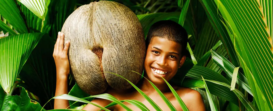 9-day Silhouette Island trip focus across Morne Seychellois National Park