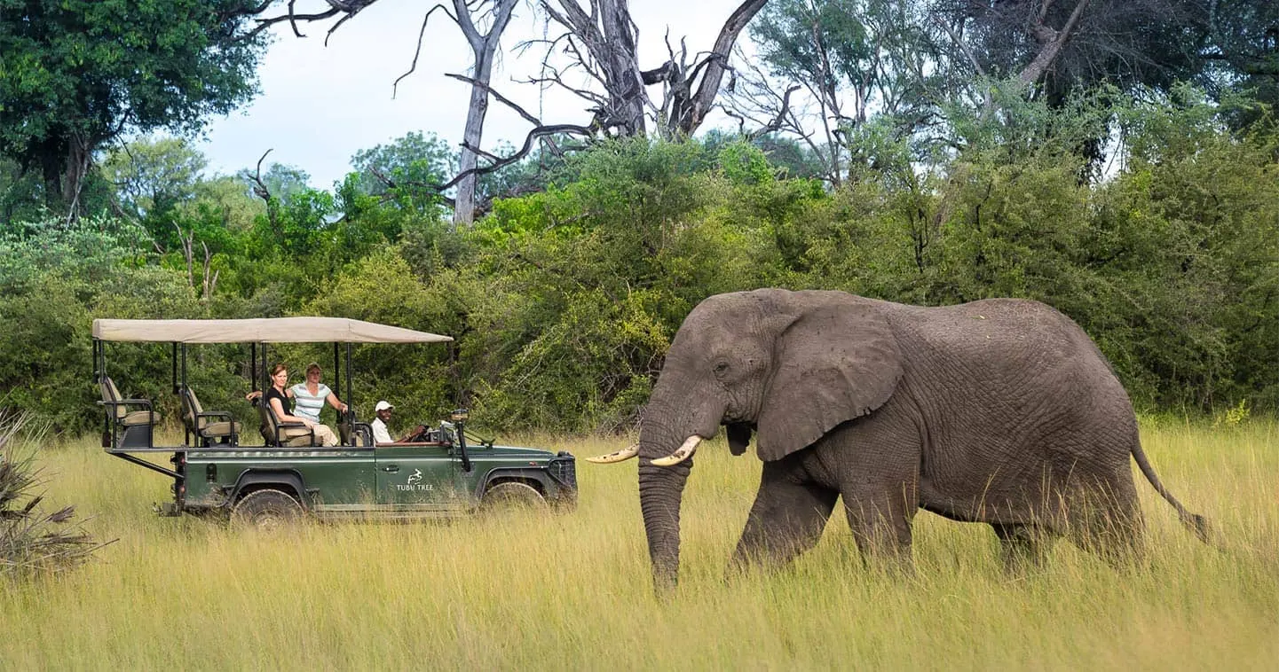 10-day elephant safari Khwai Botswana in Makgadikgadi Pans