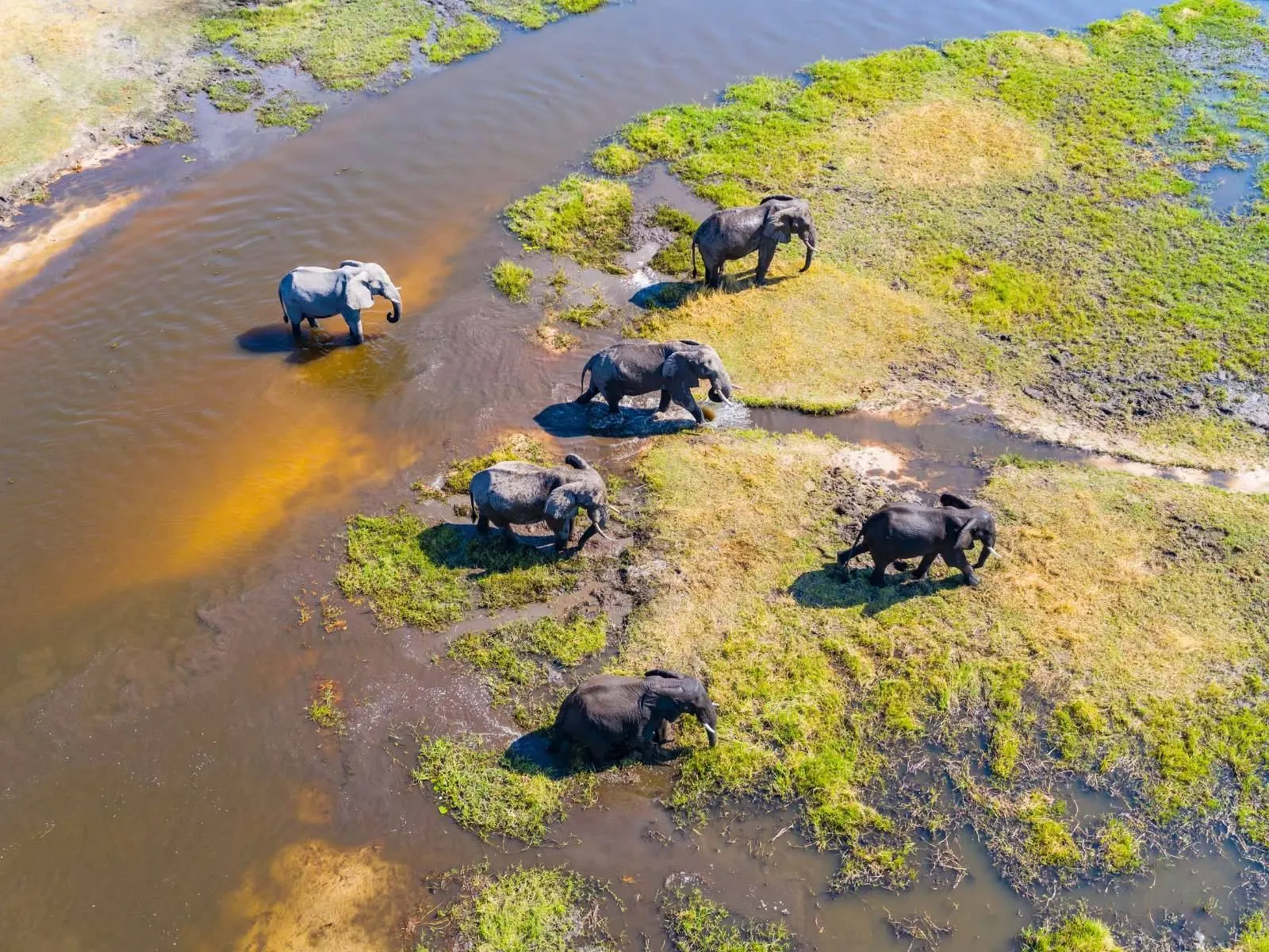 10-day game drive Maun Botswana Safaris in Central Kalahari