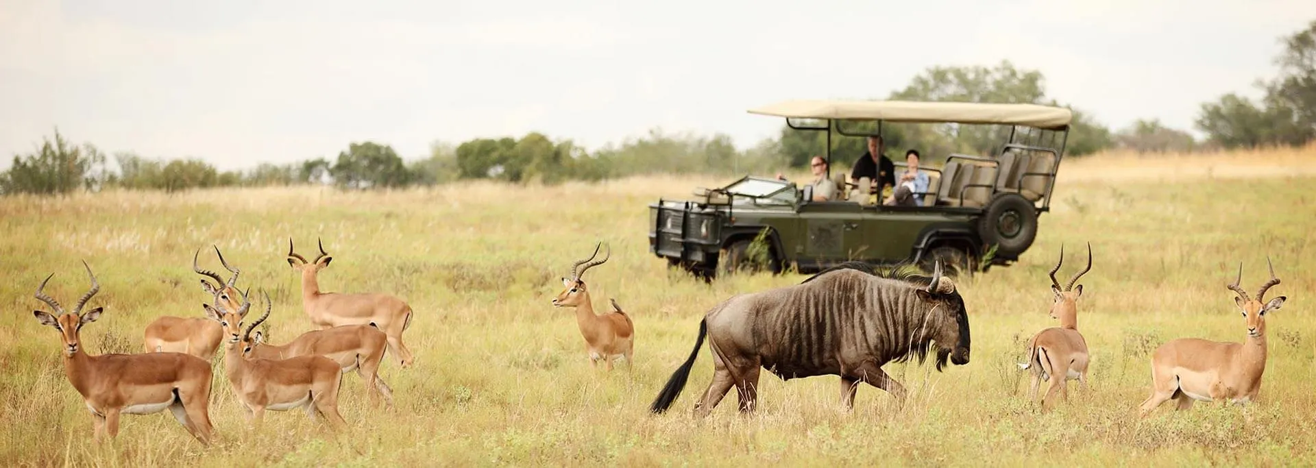 8-day self drive South Africa safari focus across Hluhluwe-iMfolozi Park