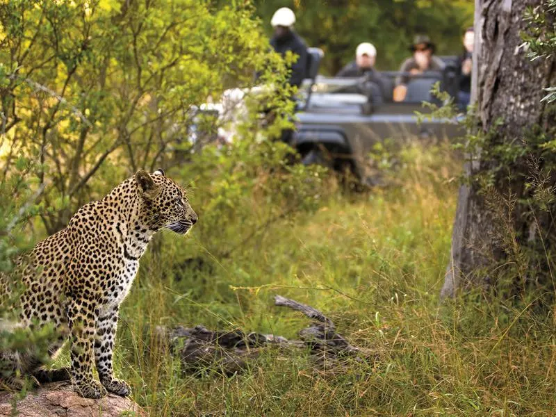 9-day Sabi Sand vacation in Kruger National Park On Safari Tour South Africa