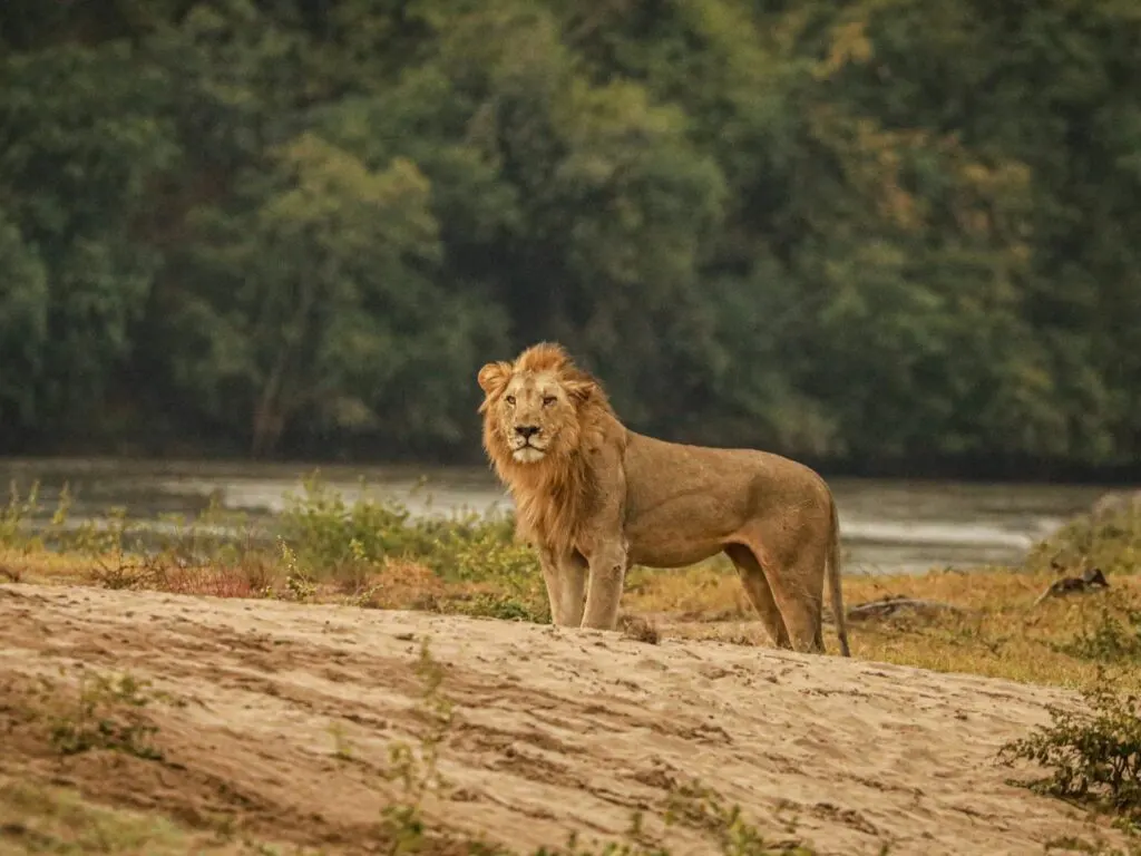 9-day Malawi Blantyre tour focus across  Liwonde National Park On Best Malawi Safaris
