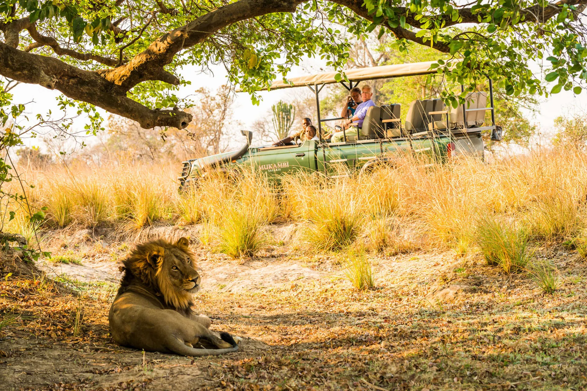 10-day  Mosi-oa-Tunya Zambia Safaris in Victoria Falls