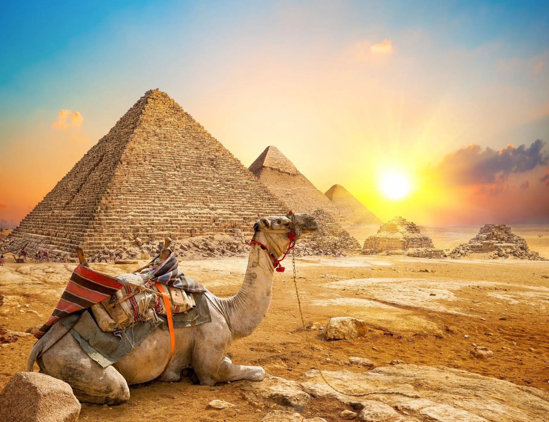 9-day wildlife photography Egypt Tour in Red Sea coast