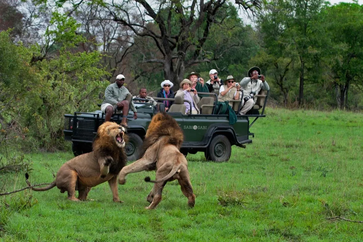 9-day Sabi Sand South African Safari Package focus across  Sabi Sand Game Reserve