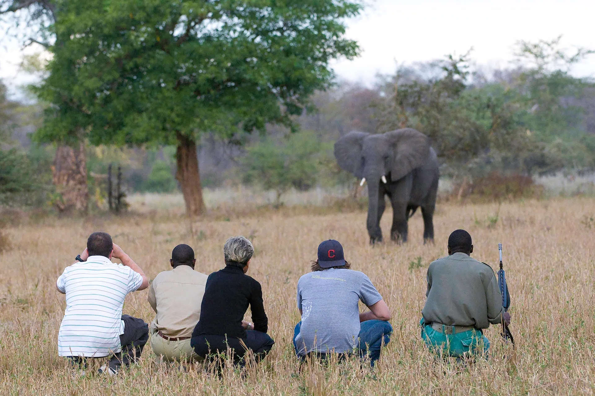 6-day walking safari Majete Malawi Safari in Majete Wildlife Reserve