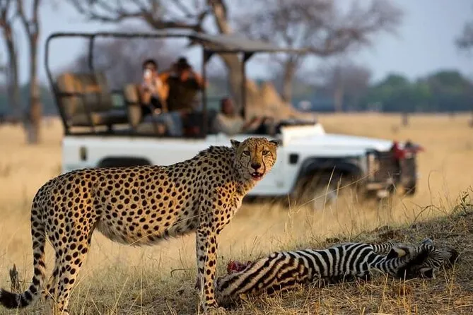 9-day Zimbabwe Zambezi National Park safari Tour Package