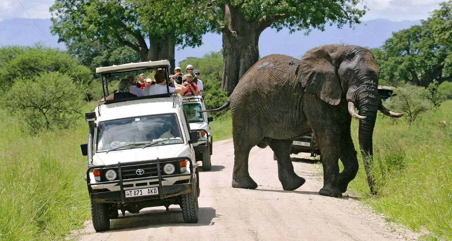 8-day Maputo elephant safari Best Mozambique Safaris  