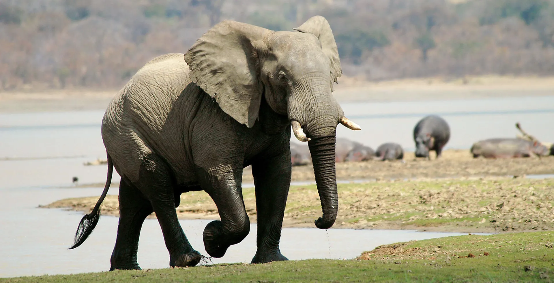 8-day Lake Malawi trips focus across Malawi Guided time in Liwonde National Park