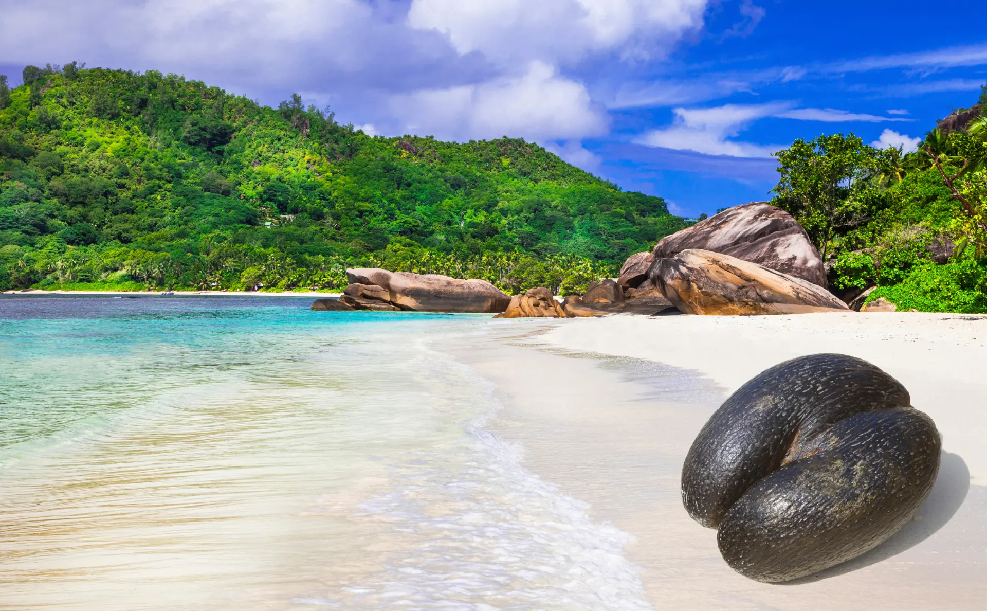 10-day beach and safari Fregate Island Seychelles in Sainte Anne Marine Park