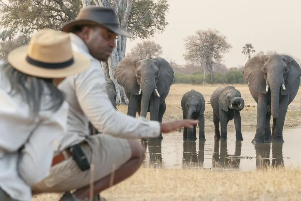 10-day Zimbabwe Bulawayo Safaris from uk focus across Lake Kariba