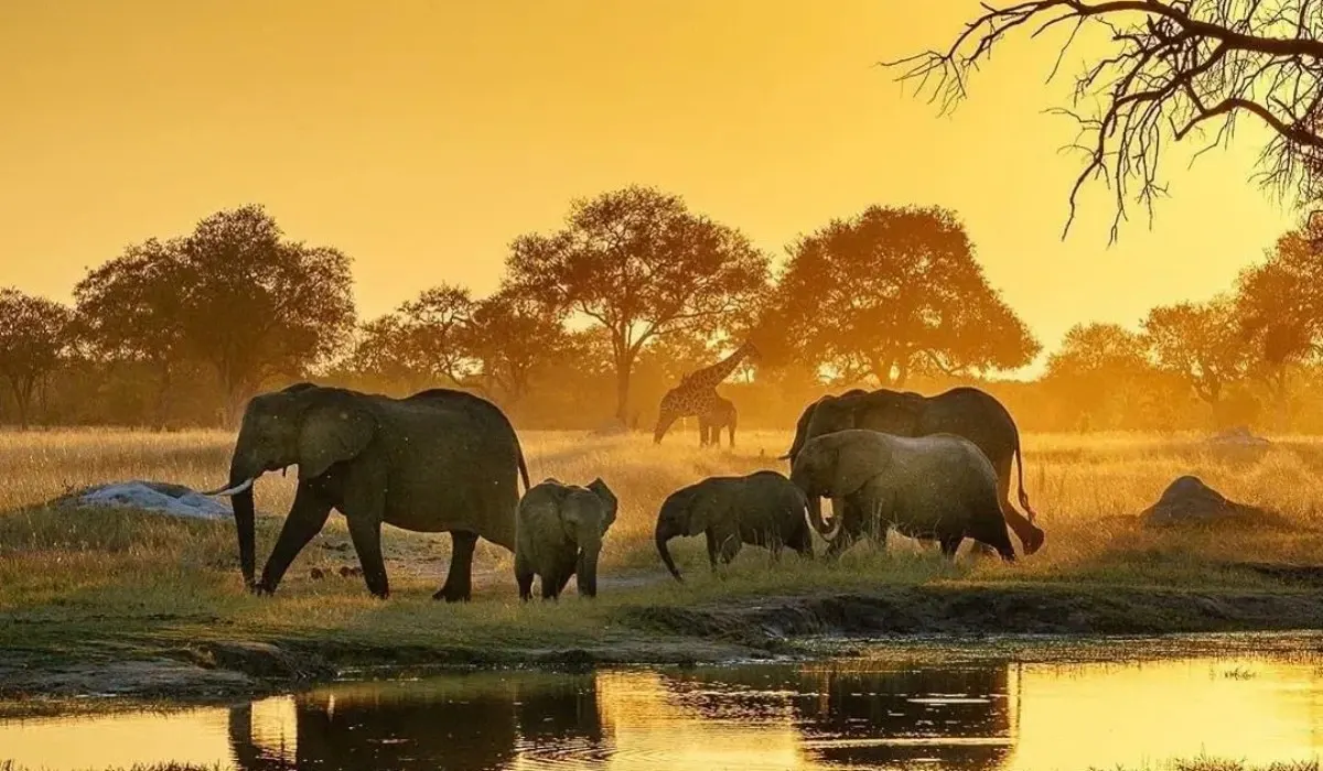 8-day Zimbabwe Matusadona vacation Tour Zimbabwe  