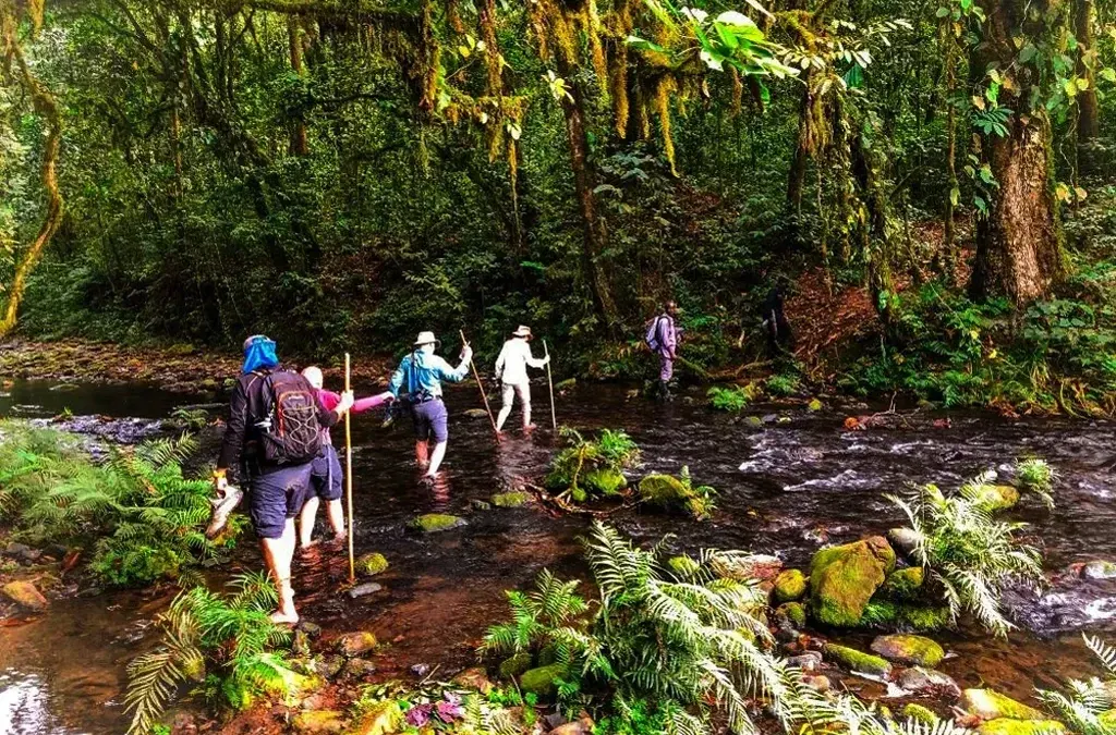 10-day Democratic Republic of Congo safari Bukavu focus across Nyiragongo volcano zone