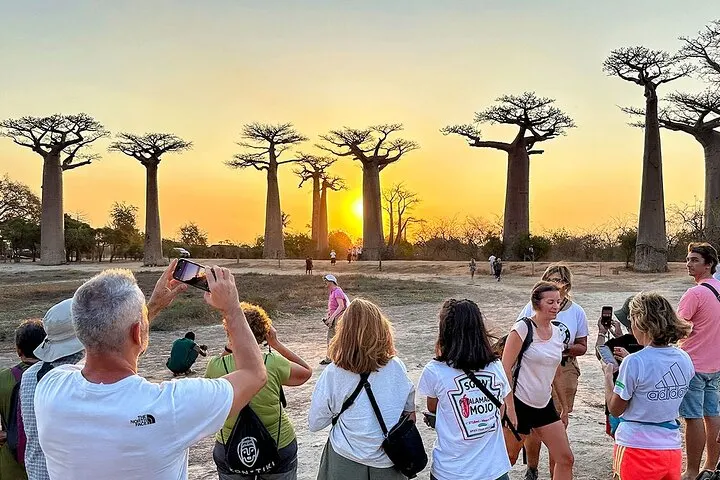 7-day Avenue of the Baobabs on Luxury Madagascar Safaris and Guided time in Isalo National Park