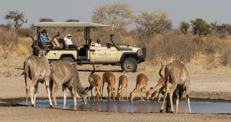 10-day Chobe National Park safari in Makgadikgadi Pans