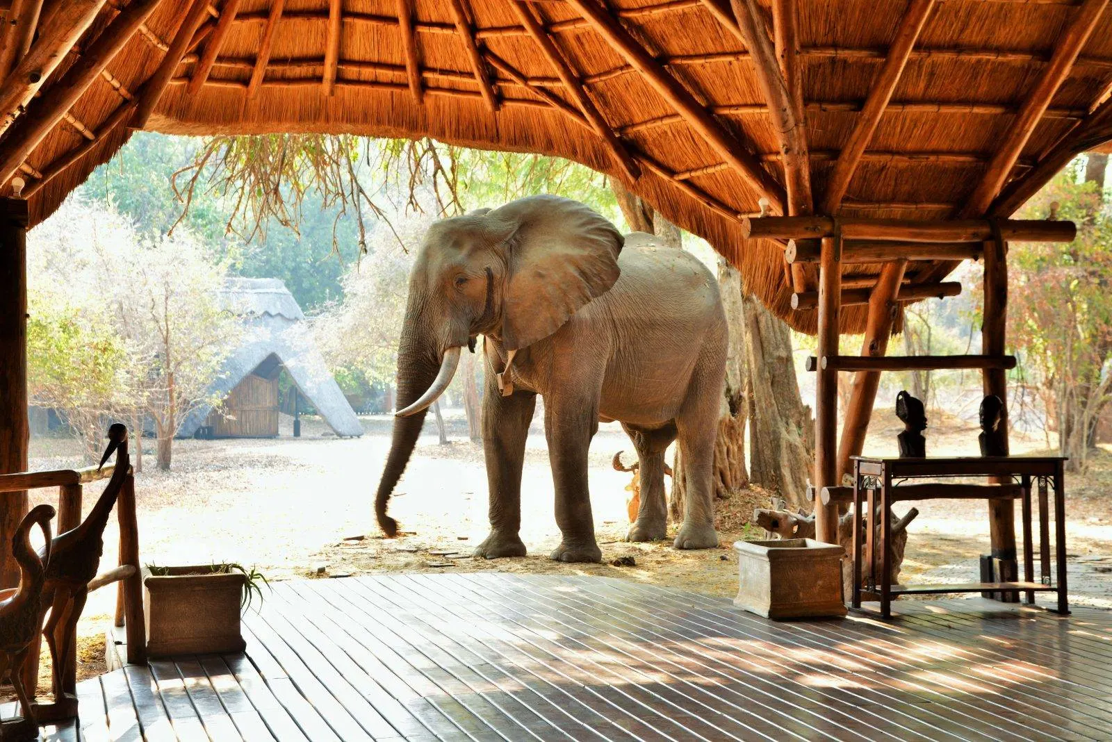 6-day birding safari Lake Kariba On Zimbabwe Safari Tours and Guided time in Lake Kariba