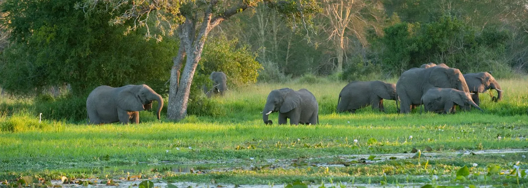 6-day Quirimbas leopard safari On Best Mozambique Safaris in Bazaruto Archipelago