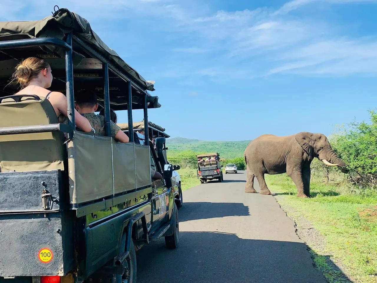 10-day birding safari Madikwe South Africa  in Hluhluwe-iMfolozi Park 