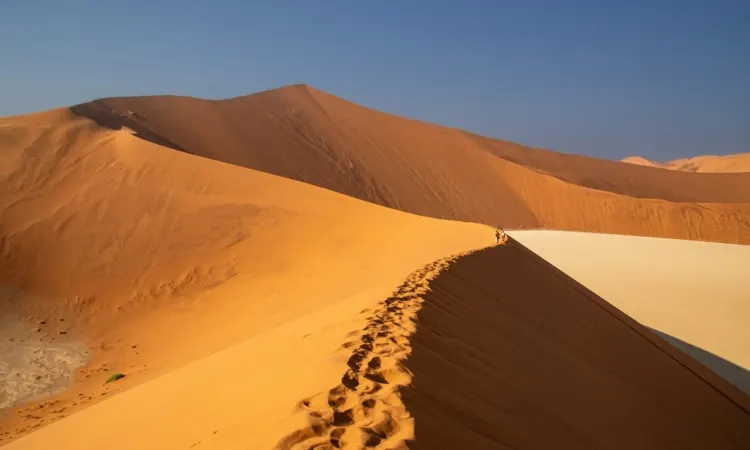 6-day boat safari Skeleton Coast Namibia focus in Damaraland On Namibia African Safari