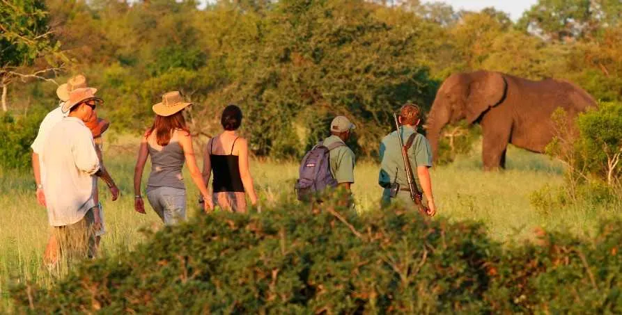 7 Day Classic Mountain Climbing Safari