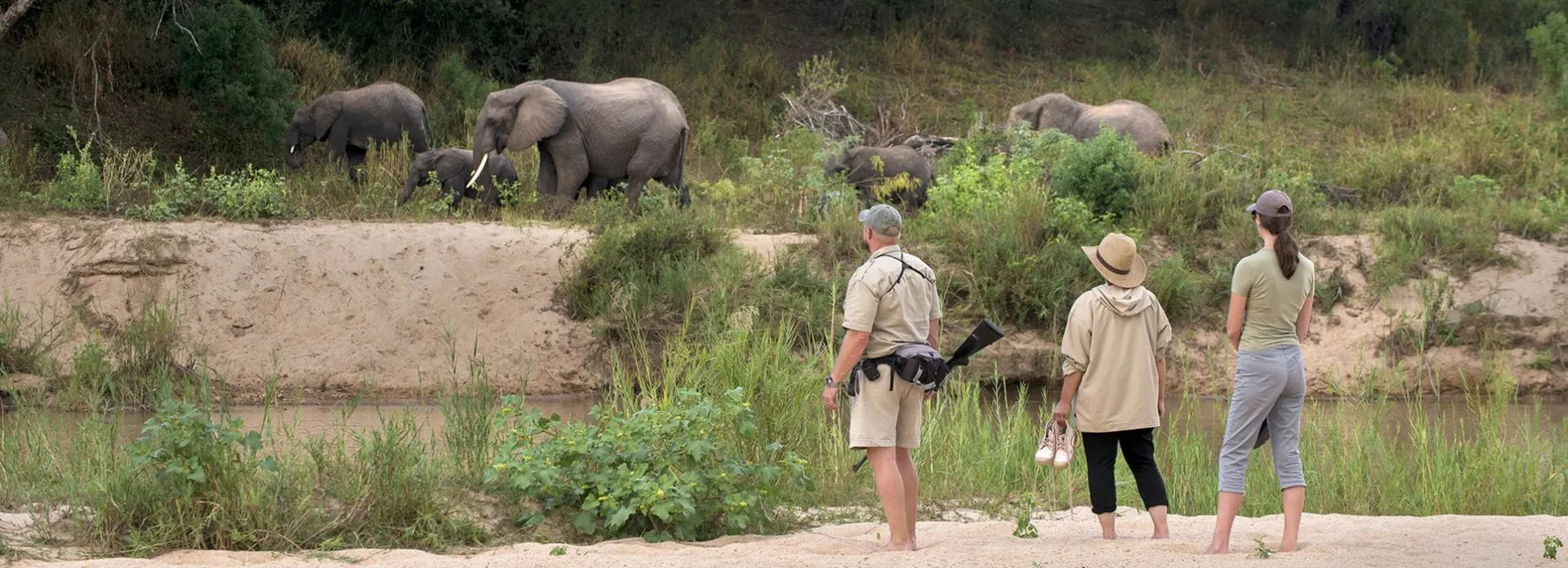 10-day South Africa Addo Elephant Park price focus  in Hluhluwe-iMfolozi Park  On South Africa Tours