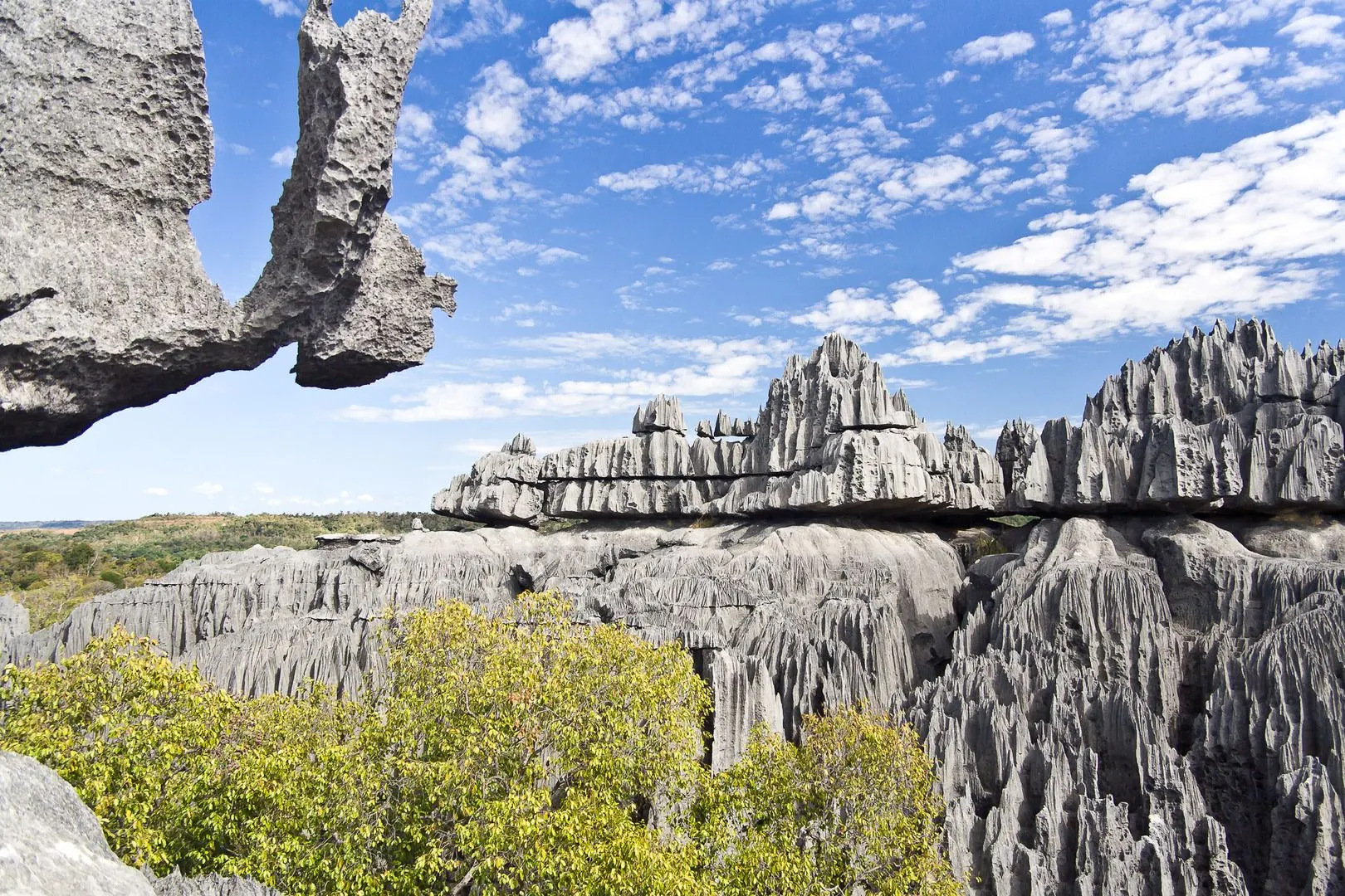 8-day walking safari Antananarivo Madagascar Safari Tours and Guided time in Avenue of the Baobabs