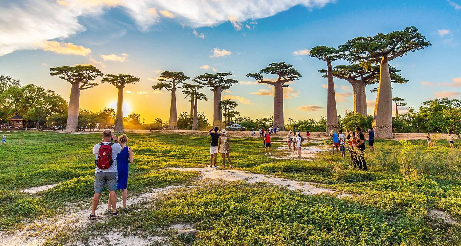 9-day Tsingy de Bemaraha Madagascar Safari Tours and time in Ranomafana National Park