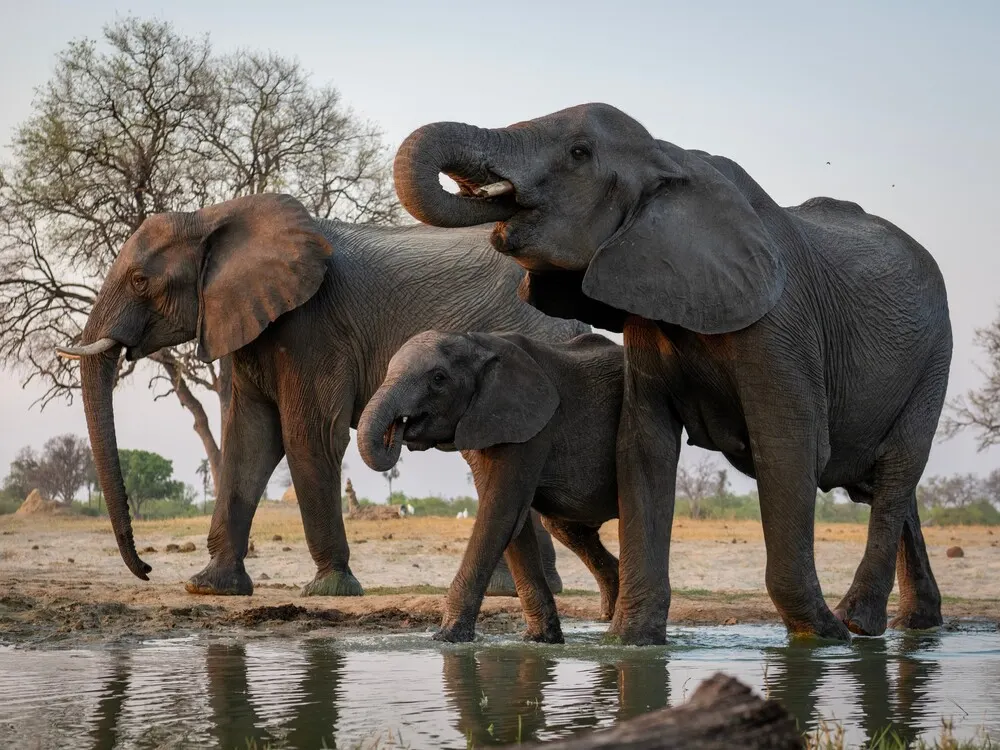 9-day beach and safari Zambezi National Park On Best Zimbabwe Safaris 