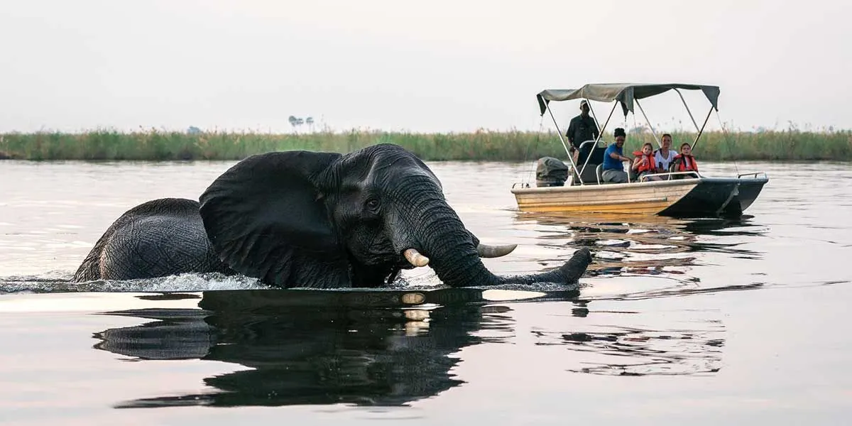 10-day Medjumbe holidays On Mozambique Safaris Guided time in Bazaruto Archipelago