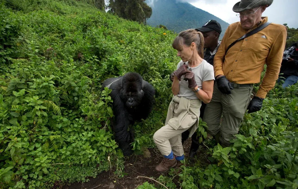 8-day short gorilla trek cost Uganda focus across Uganda Guided time in Kibale National Park