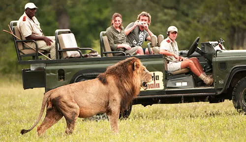 7-day South Africa Safari bush and beach focus across Addo Elephant National Park
