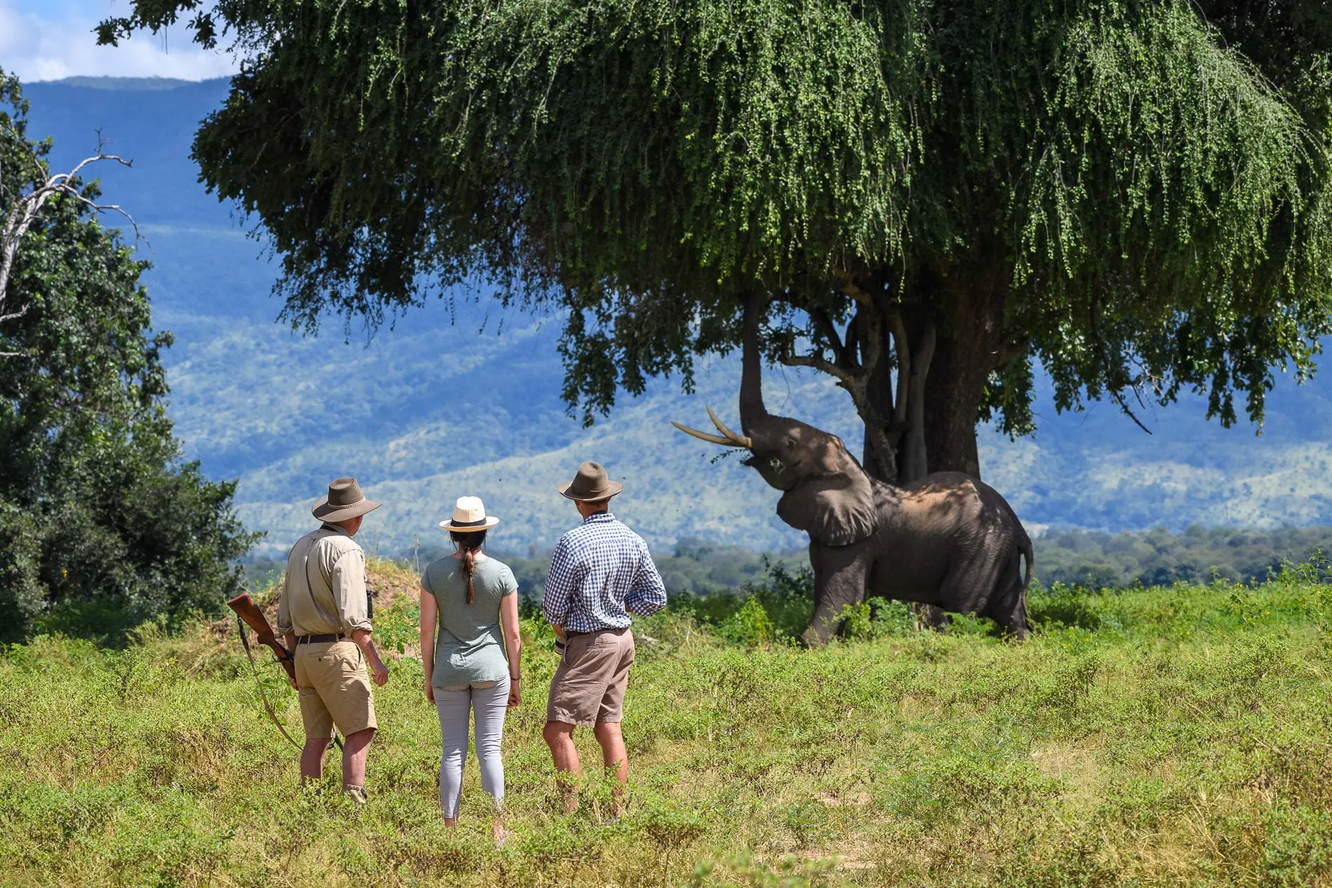6-day game drive Lake Kariba Zimbabwe Tour Safari focus across Mana Pools National Park