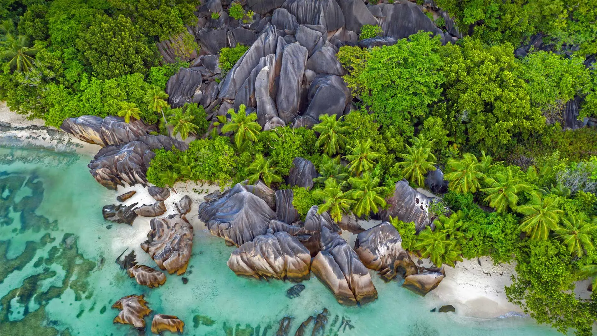 7-day birding safari Anse Source dArgent Seychelles Vallée de Mai