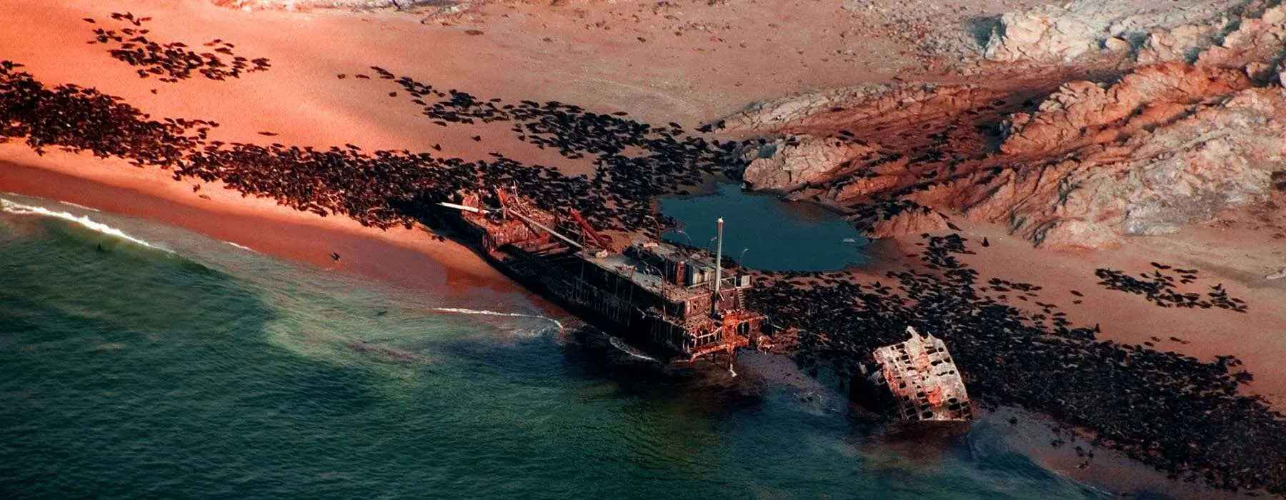8-day Swakopmund boat safari  in Skeleton Coast On Best Namibia Safari