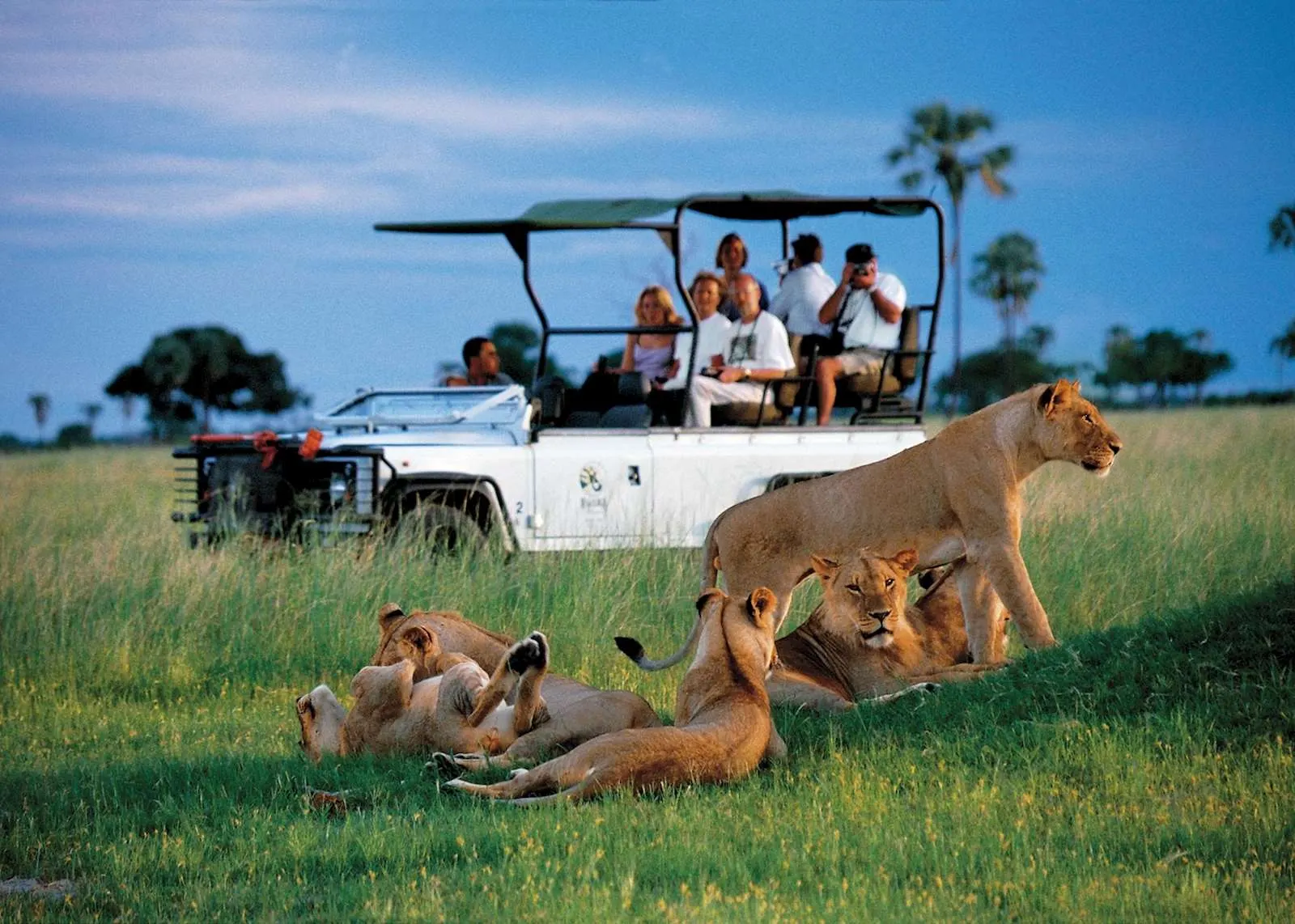 10-day Bulawayo safari Zimbabwe and Guided time in Matobo Hills