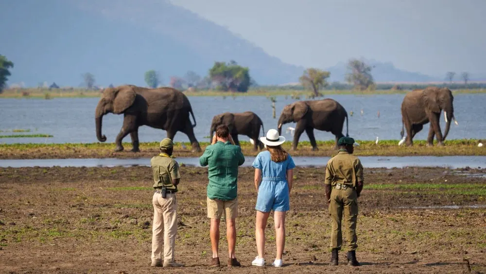 10-day Malawi Safari Senga Bay trip in Majete Wildlife Reserve