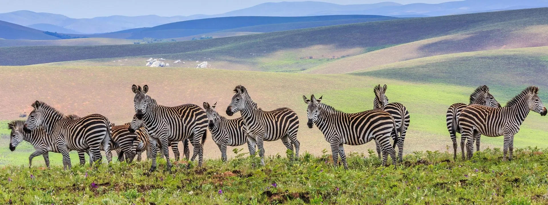 9-day Lilongwe itineraries focus across Nyika National Park On Luxury Tour Safari Malawi