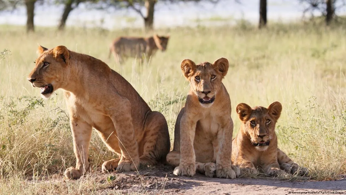 10-day  Vilanculos safari Mozambique Guided time in Inhambane