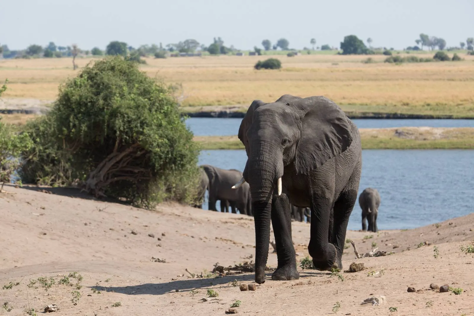 8-day beach and safari Matobo Hills On Zimbabwe Safaris  